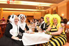 Hausfrauennachmittag - 2017